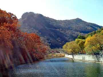 新澳天天开奖资料大全旅游团，2012年龙票价格